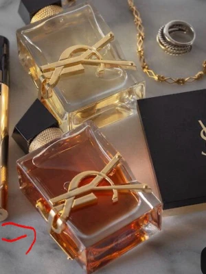 Märkes saker  - Ysl Parfym 50 ml för 1600kr, Chanel väska 25 för 2890kr Coach Bag tabby för 3679kr