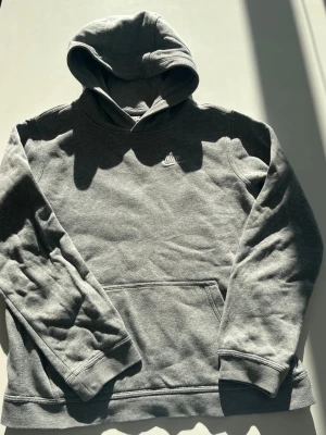 Grå hoodie från Nike med huva - Snygg grå hoodie från Nike med klassisk logga på bröstet. Hoodien har en stor känguruficka framtill och en skön huva. Tillverkad i mjukt sweatshirtmaterial som passar perfekt till vardagslooken. Enkel och stilren design som funkar till det mesta. Går att diskutera pris. Inte använt så mycket 