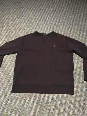 Ralph lauren tröja  - Snygg ralph lauren tröja som är knappt använd.