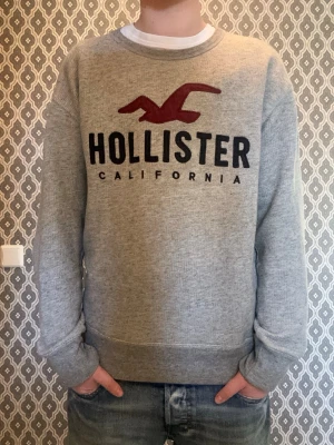Hollister tröja  - Skick: 8/10 | Storlek: XS | Pris: 599 | Finns inga defekter! | Modellen på bilden är 170, 60kg | Hör av er vid frågor! 🙌