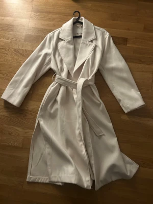 H&M Coat - New, used maybe once. Size S but can fit M.