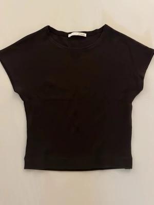 Brun croppad topp från Zara - En enkel brun croppad topp från Zara med rund halsringning och korta ärmar. Aldrig använd så den är ny utan prislapp💗