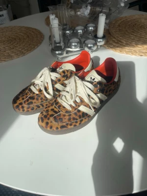 Adidas Samba - Adidas SAMBA OG LEOPARD. Endast använda ett fåtal gånger. Skosnörena är lite smutsiga på bilderna men dem tvättas innan jag skickar, annars inget som tyder på mycket användning. Dem är även impregnerade. Som man kan se på sista bilden ingick även orangea skosnören men den är tyvärr borttappade 🫶🏼🫶🏼