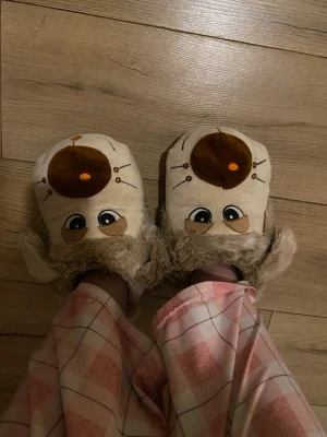 hund tofflor  - hund tofflor