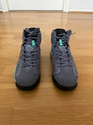 Air Jordan 6 Retro GG Iron Purple / Dusty Cactus – Storlek 40 – Bra skick - Säljer ett par Air Jordan 6 Retro GG “Iron Purple / Dusty Cactus” i storlek 40. En stilren och mer ovanlig Jordan-modell från 2014 med grå/lila ovandel och turkosa detaljer som verkligen sticker ut. Skorna är i bra skick och har endast normalt slitage från användning. Sulorna är fina och skorna håller fortfarande formen väldigt bra. Perfekta både för dig som vill använda dem till vardags eller för den som uppskattar äldre Jordan-releases. Pris kan diskuteras vid snabb affär.