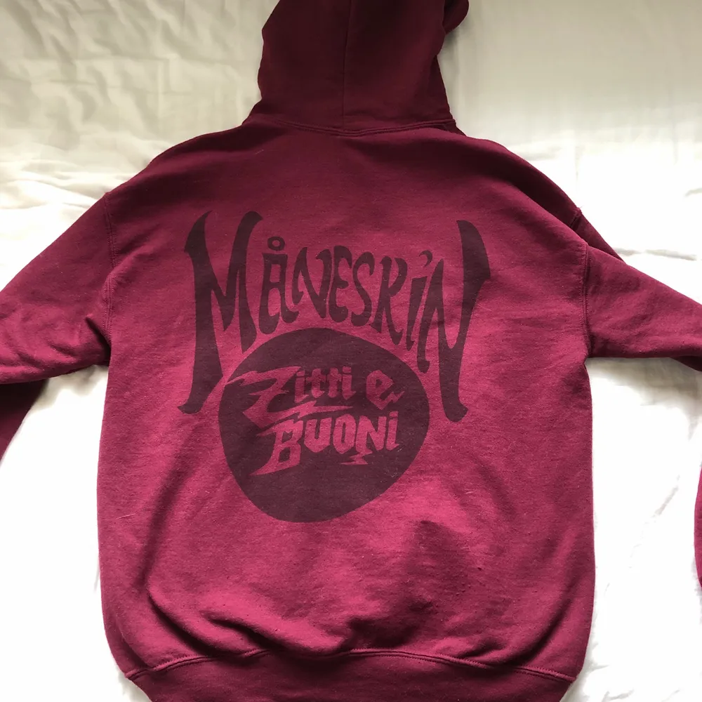 äkta måneskin hoodie i storlek S! säljer pga att jag inte lyssnar på dem längre. superfint skick, köptes för 500 kr + frakt på ca 150 kr 🧚🏽‍♀️. Hoodies.