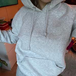 Ljusgrå hoodie från Bikbok🌟Storlek XS. Köparen står för frakten!