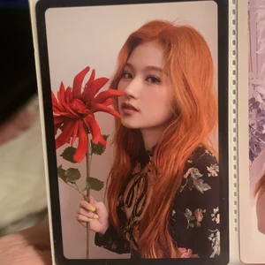 Sana photocard officiellt  - Fint skick, samfraktar om du köper flera !