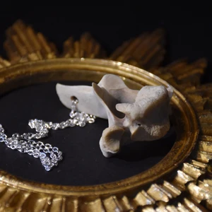 Halsband ben - 60 cm silvrig kedja med en stor benbit. 