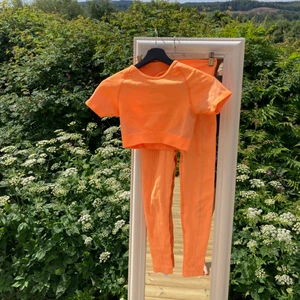 Gymshark  - 400 kr ink frakt för båda 