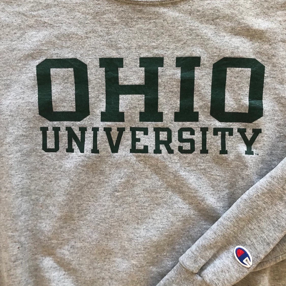 CHAMPION SWEATSHIRT!! 💚🏞🌱 - 91