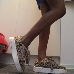 Lepadskor - Lepadskor har nästa aldrig använt pratar om priset