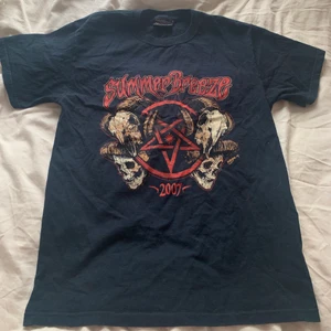 Summer Breeze oversize t-shirt - Officiell merchandise Summer Breeze t-shirt! Köpt secondhand men aldrig använd. Står ingen storlek men är väldigt oversize på mig som vanligtvis har strl S ❤️ Köparen står för frakten annars kan jag mötas upp i Göteborg!