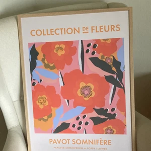 Poster med vallmoblommor  - Den är köpt på hemsidan Dear Sam för 249 kr men säljs för 200. Den är 50x 70 cm, köp gärna ramen också!