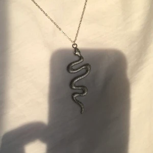 Snake halsband  - Supersnyggt silvrigt halsband med en orm! Passar till allt.
