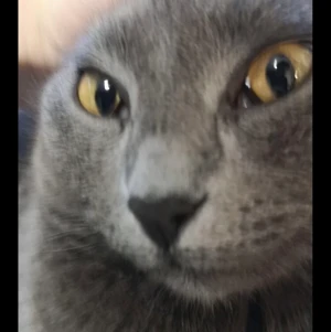 Skitsnygg thrifted tröja  - Aldrig använd, bra skick