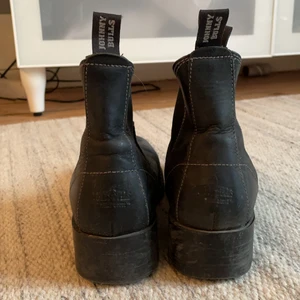 Johnny Bulls - Låga Johnny bulls i storlek 37