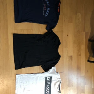 Gant Champion Lyle scot - Alla t-shirt 60 förutom den svarta 30   Champion hoddie 80kr grå hoddie 50 puma shorts 100 för båda storlek 11-12       ALLT FÖR 350kr