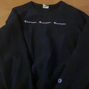 Champion tröja  - Ganska overzised bara använt en gång. Kan levera men också mötas i Stockholm. BUD:250kr
