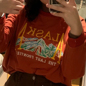 alaska vintage tröja - röd vintage aesthetic alaska landmark tröja. oversized.