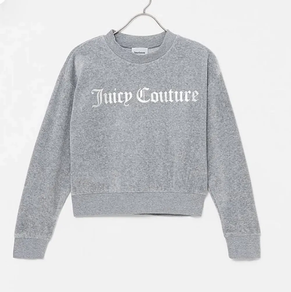 Säljer denna Juicy Couture tröja. Aldrig använd, köpt för 600kr säljer för 250kr + frakt. Färgen är ljusgrå.🤗💞. Hoodies.