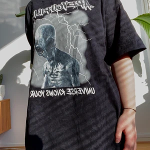 Madlady collab med Ribecka och Lisa A - Oversize tshirt från Ribecka och Lisa A kollektion med madlady | strl M men passar S-L | använd fåtal gånger, bra skick | frakt tillkommer