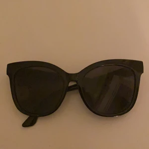 Snygga stora glasögon - Stora fina glasögon bud på 65