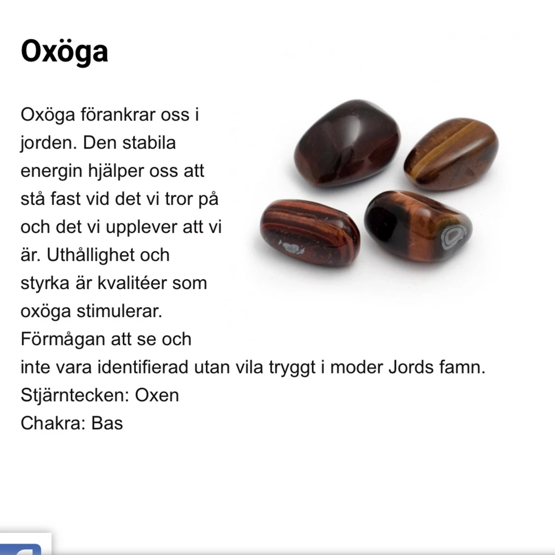 Oxöga - 90