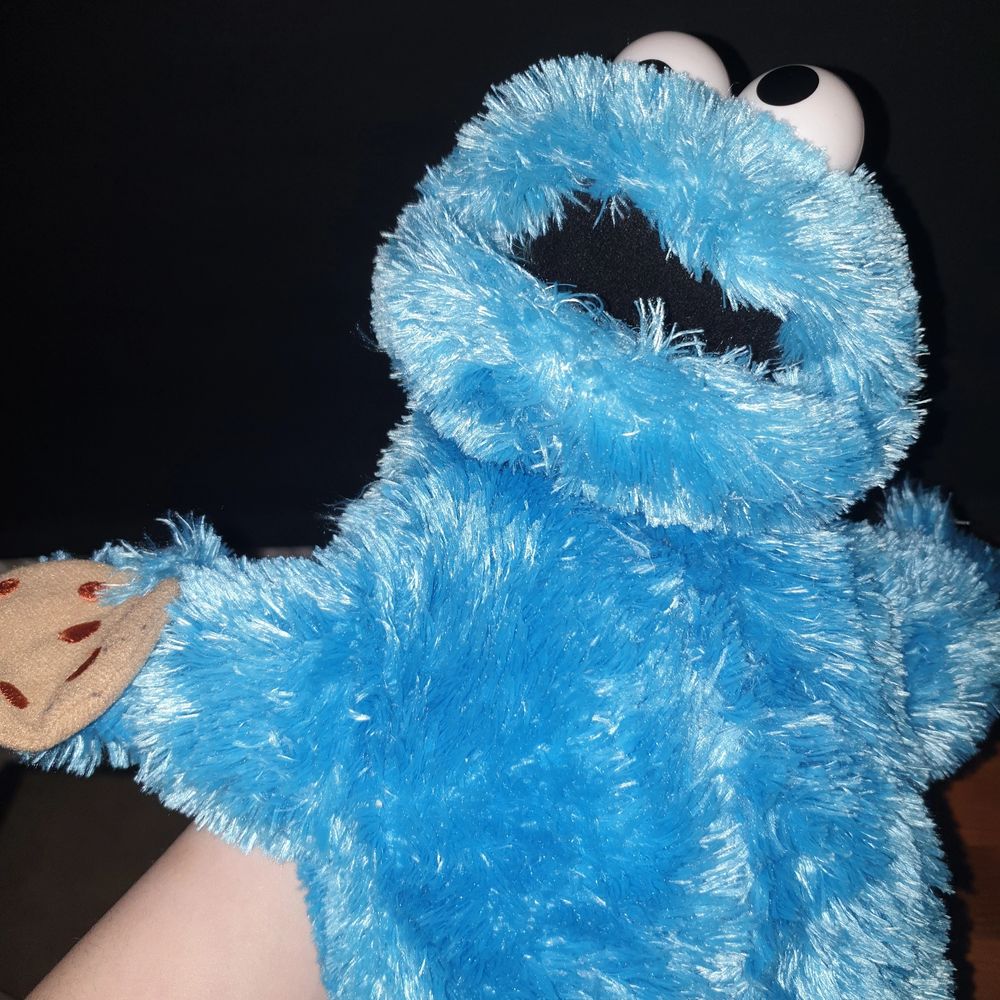 Cookie Monster Hand docka | Plick Second Hand
