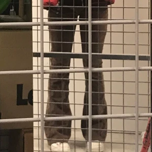 Boucat jeans!😛 - Säljer dessa skit snygga bruna boucat jeans! Lite långa och stora för mig som är 155 cm lång tyvär. Köpta för 300kr. 