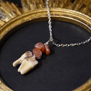 Halsband tand  - Halsband med silverpläterad kedja och äkta rådjurstand samt äkta karneol :) 
