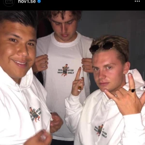 Hov1 merch  - Intressekoll på min fina fina hov1 hoodie🥺 använder den aldrig så den ligger bara i garderoben , köpt juli 2018 för 600kr så tar bud från 350kr🥺💗 storlek M , budet är exklusive frakt 