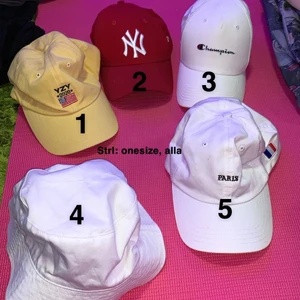 Keps + buckethat - Alla för 200kr, en för 80kr jag står för frakten