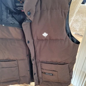 Canada goose - Storlek är L/G