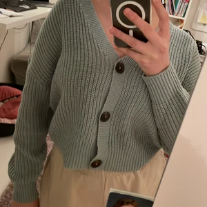 Ljusgrön kofta - En ljusgrön kofta med bruna knappar, Andvänts typ 2 gånger och är i väldigt bra skick. 