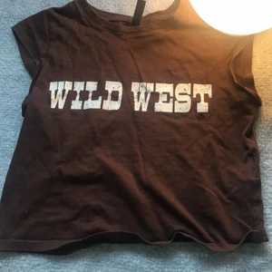 T-shirt - En urrr snygg wild west tröja från H&M 💓💓original priset var 99kr men säljer den för 55kr !! Tvättad innan jag skickar den. Kontakta vid köp och köparen står för frakten💓💓💓💓💓