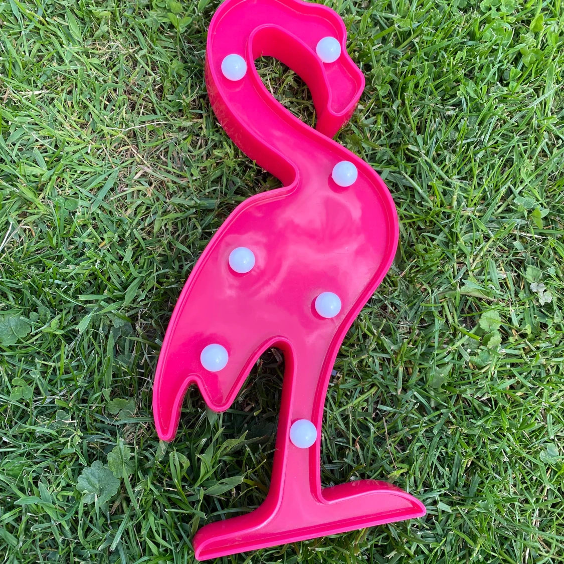 Lysande flammingo - 90