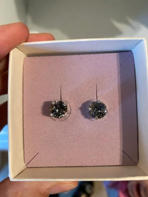 Caroline svedblom örhängen  -   Silver med svart/grå Sten 