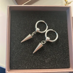 Örhängen  - Silver örhängen 