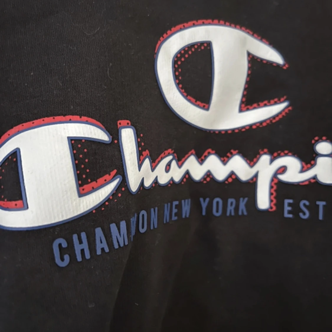 Champion sweatshirt  - 90