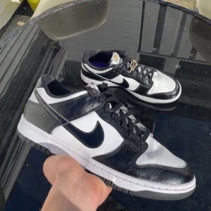 Nike dunks  - Nyskick world champ dunks, Storlek 44. Mitt pris 1500