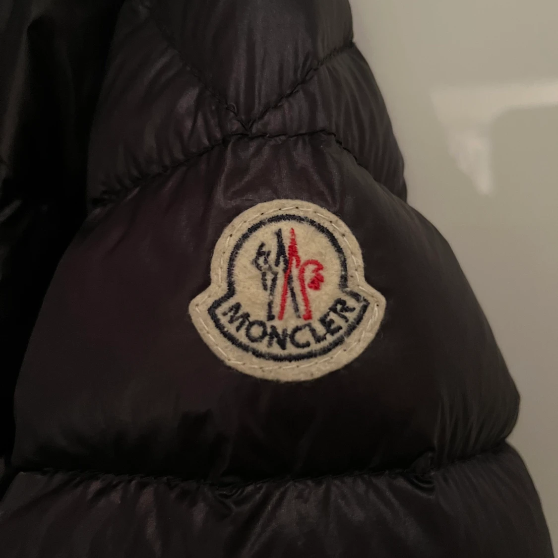 Monclear acorus  - 91