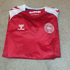 Danmark fotbolls tröja - En dansk landslagströja köpt 2021 använd 2-3 gånger i bra skick 