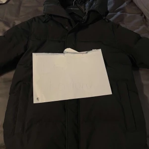 Canada goose - Inga skador och i bra skick