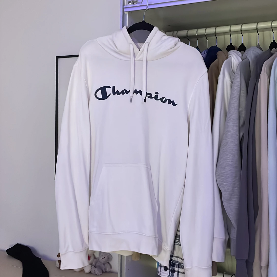 Champion hoodie