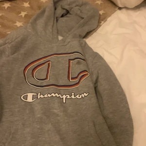 Champion hoodie  - En Champion hoodie i large 