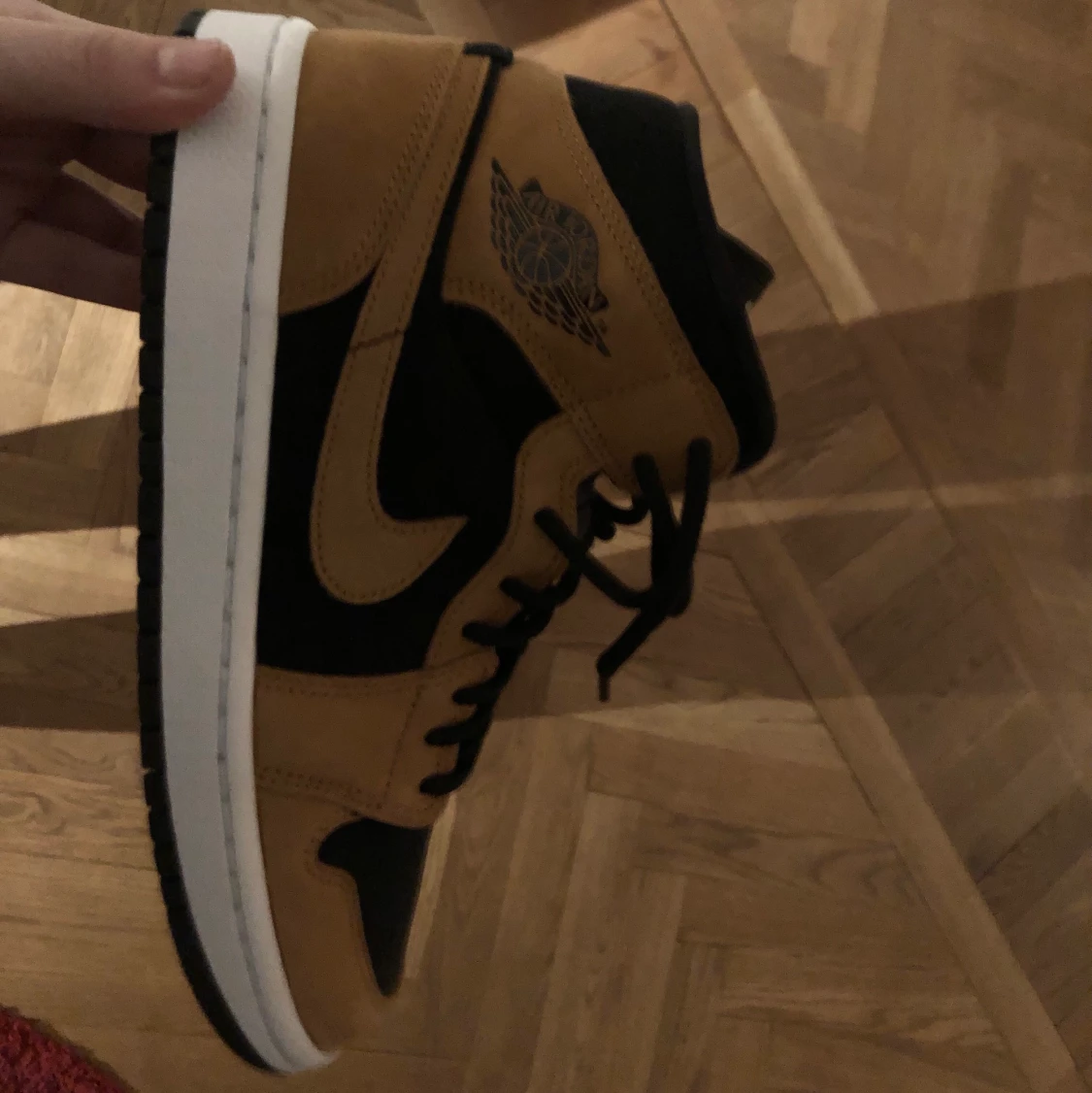 HELT OANVÄNDA ÄKTA AIR JORDANS