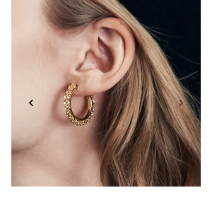 Edblad Tinsel Creoles Gold - Säljer oanvända örhängen från Edblad som är skit snygga! Köpte för 350 kr och säljer för 250 kr men kan tänka mig gå ner i pris för snabb affär! ❤️❤️