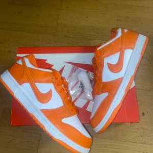 Nike dunk low Syracuse SP - Helt nya med kvitto  Storlek 44 Bud från 2200