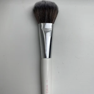 Caia borste (F18) - Caia borste i storleken F18, säljs för att Jaguar 2 av den och för att den inte kommer till användningen ( aldrig använd)